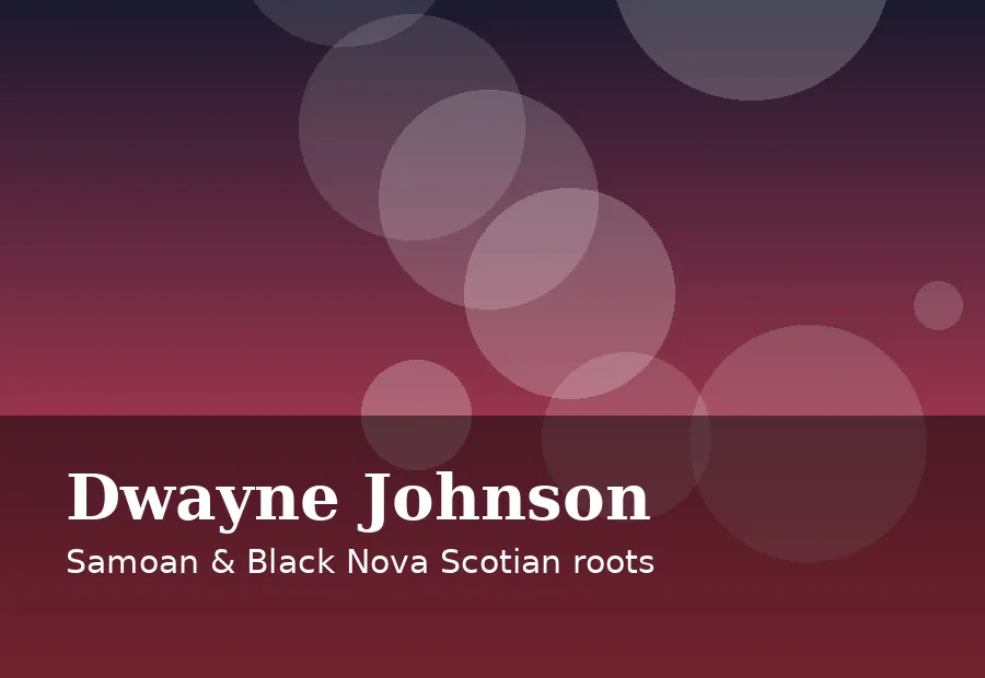 Editorial summary card of The Rock ethnicity facts with dark red gradient design